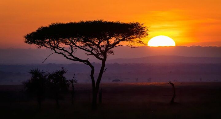 bankrekening Tanzania safaribedrijf slaapstand corona