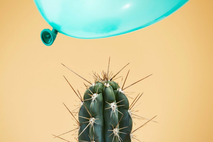 cactus ballon