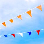 Moeders met deze sterrenbeelden nemen de kleedjesmarkt op koningsdag heel serieus