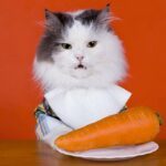 9x hilarische redenen van kinderen om hun eten te laten staan