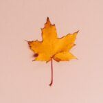 20 prachtige babynamen met een herfsttintje