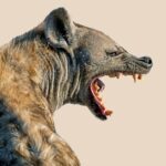 ‘Bij ons thuis wordt er behoorlijk wat gedreigd. Door mij’