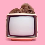 “Mijn zoon (2) ‘maakte een tekening’ op de televisie. Een duur geintje”