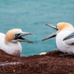 Deze ouders hebben altijd gillende ruzie op vakantie