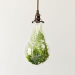 Vul Kek Mama’s grote duurzaamheid-enquête in en win een prijzenpakket van €250!