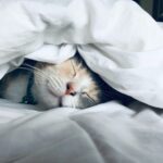 Cabau Lifestyle x Free a Girl: deze Sweet Dreams-set helpt dromen van jonge meisjes uitkomen