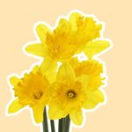 Deze moeders zijn het allermeest toe aan de lente (en wel nú)