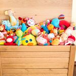 Europarlementariër waarschuwt: waarom speelgoed van TEMU en Shein levensgevaarlijk is voor kinderen