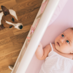 Onderzoek: hoe een hond je baby kan helpen tegen eczeem