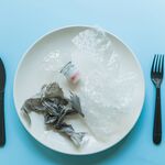 Ouders opgelet: zo voorkom je microplastics in het eten van je kinderen