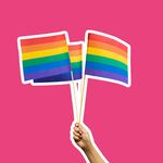 Sira: ‘Mijn hart smolt toen mijn kleuter vertelde waarom ze graag een regenboogvlag wilde’