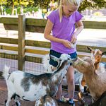 Spelen bij de boer: deze 5 speelboerderijen wil je bezoeken met kinderen