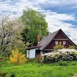 Tip: zó kun je jouw tuin modern indelen