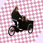 Populaire bakfietsfabrikant waarschuwt voor gevaarlijke situatie en roept deze modellen terug