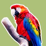Dit zijn de 3 leukste (en minder bekende) dierentuinen van Noord-Brabant