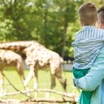 Dierenpark Blanckendaell: zoo, museum én speeltuin ineen (nu met korting!)