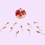 Ook mannen hebben een biologische klok: ‘Hoe ouder, hoe groter het risico op afwijkingen’