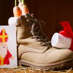 De Sinterklaas voorpret begint! Vind het perfecte cadeau bij Top1Toys!