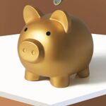 De bankrekening van Floor: ‘Ik denk alleen maar: hoe gaan we het deze maand redden?’