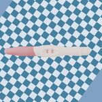 Bondgenoten-deelneemster doet zwangerschapstest: ‘Ik krijg hier stress van’