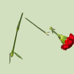 Relatie-expert onthult: dit is de allergrootste fout die koppels maken