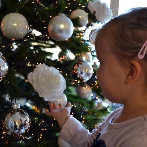 Illustratie bij: FOTOSERIE: jullie kiekjes van boom & kind