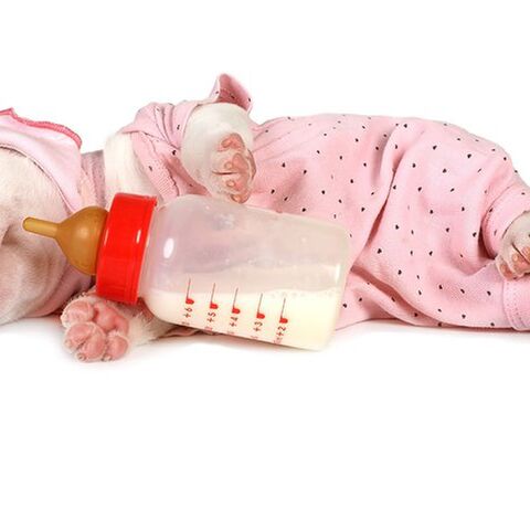 Illustratie bij: ‘Baby’s zijn slopend voor je huwelijk en het is tijd om dat toe te geven’