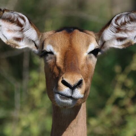 Illustratie bij: 7 Dingen die single moeders niet willen horen (nee, serieus: écht niet)