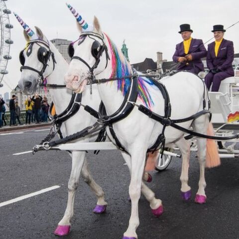Illustratie bij: Rijden in stijl: Eenhoorntaxi in Londen