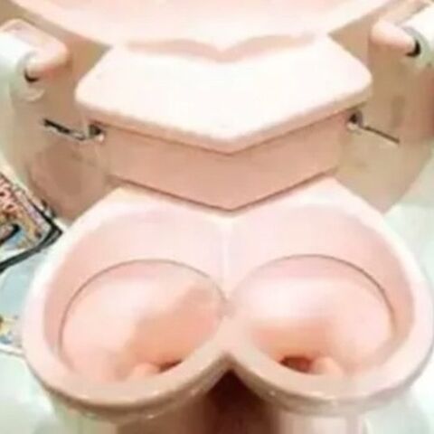 Illustratie bij: 12x de raarste toiletten die je vandaag zult zien