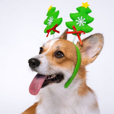 Illustratie bij: ‘Eind september begint het te kriebelen: dan denk ik al na over kerst’