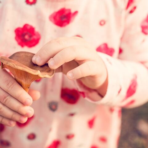 Illustratie bij: ‘Horrorverhalen over gevaren voor kinderen? Ik lees ze niet meer’
