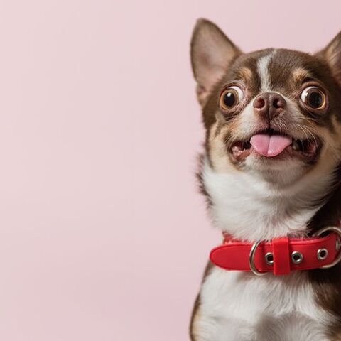 Illustratie bij: Deze hilarische foto’s bewijzen dat Vaderdag niet altijd even vlekkeloos verloopt
