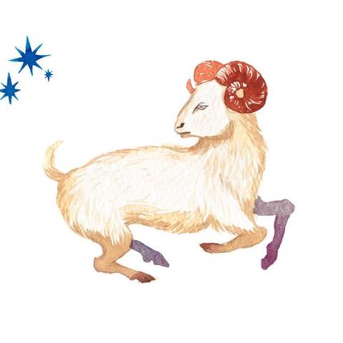 Illustratie bij: Winterhoroscoop: Ram