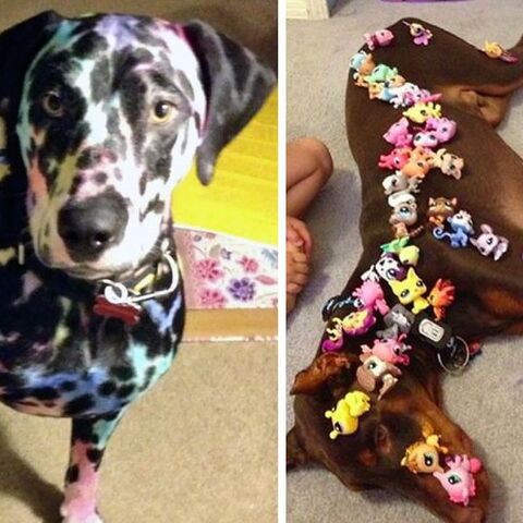 Illustratie bij: 9x waarom je kinderen en huisdieren niet alleen moet laten