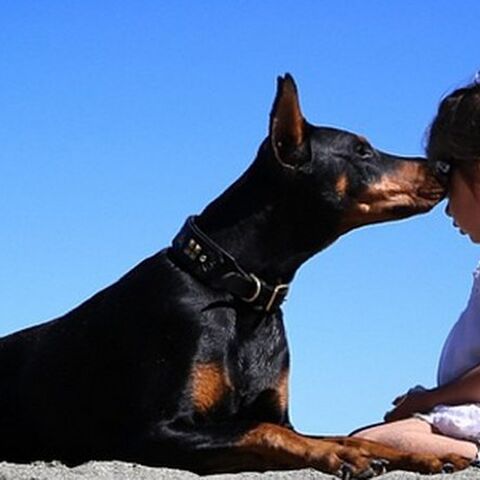 Illustratie bij: Lief: meisje en hond zijn beste vrienden