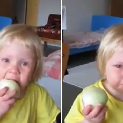 Illustratie bij: VIDEO: Peuter eet ui alsof het een appel is