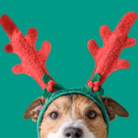 Illustratie bij: 19 dingen die je denkt in de week vóór de kerstvakantie