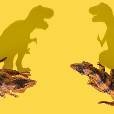 Illustratie bij: ‘De meeste kinderfilms vinden mijn kinderen doodeng’
