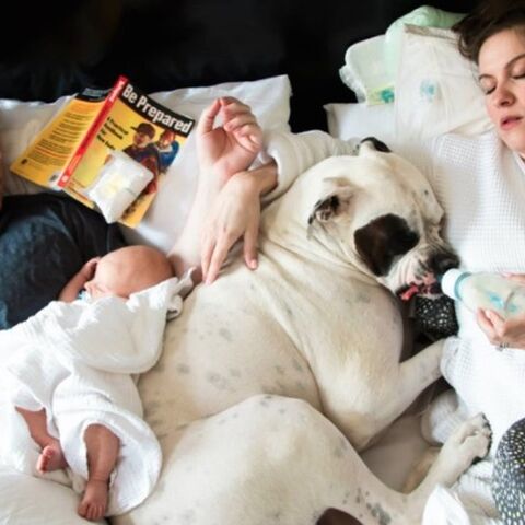 Illustratie bij: Perfect? Hou toch op: zo kan het ouderschap ook zijn