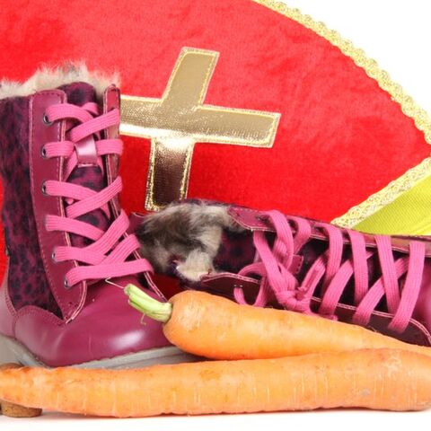 Illustratie bij: Duik in de geschiedenis: hierom zetten kinderen hun schoen met Sinterklaas