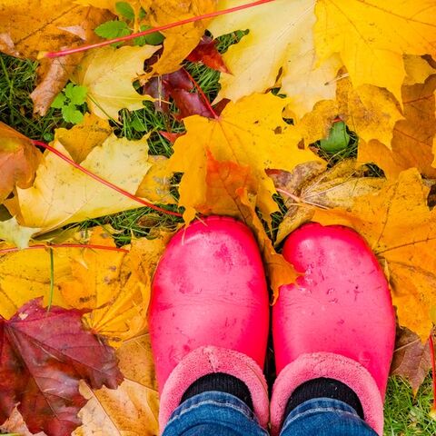 Illustratie bij: Van plassen stampen tot koekjes bakken: 5x de leukste tips in de herfst