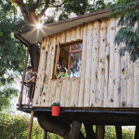 Illustratie bij: Bijzonder: 6x slapen in een boomhut