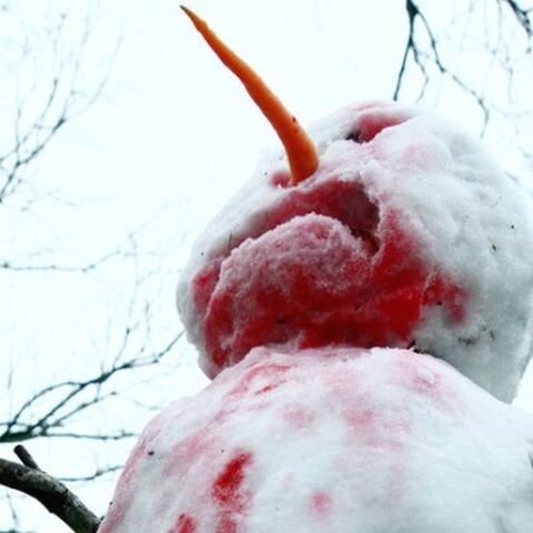 Illustratie bij: Van déze bizarre sneeuwpoppen krijg je de rillingen