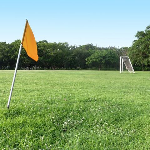 Illustratie bij: Kinderen mogen zelf een sport uitkiezen: dít vinden jullie