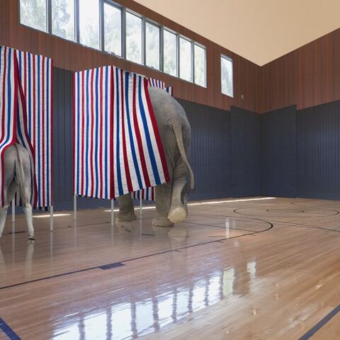 Illustratie bij: Deze stemwijzer speciaal voor ouders is echt ideaal