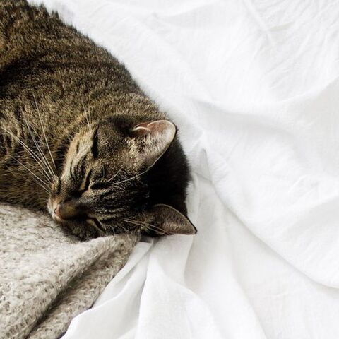 Illustratie bij: 5 dingen waar ik als werkende moeder slecht in ben