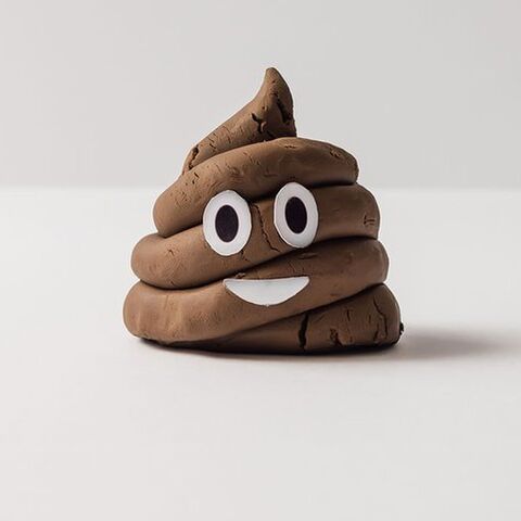 Illustratie bij: ‘Poep, pies, kak: dit is waarom je kind die woorden zo leuk vindt’
