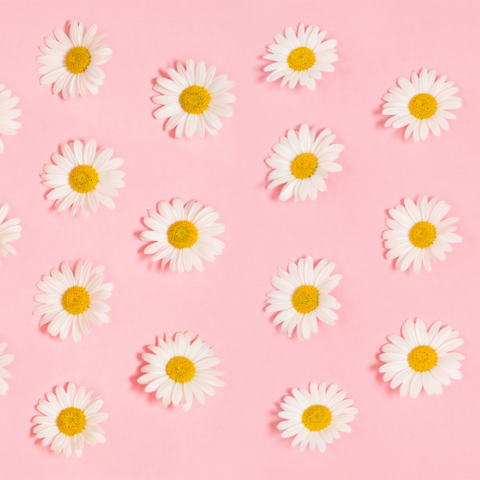 Illustratie bij: 22 babynamen geïnspireerd op de lente