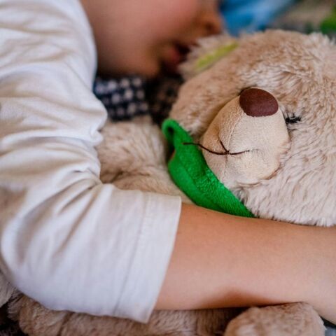 Illustratie bij: Kort lontje: ‘Ik trok zijn knuffel uit zijn vuistje en gooide ‘m in de prullenbak’